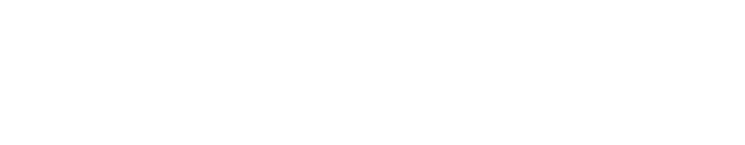 KS Main Logo with bug Reversed CMYK