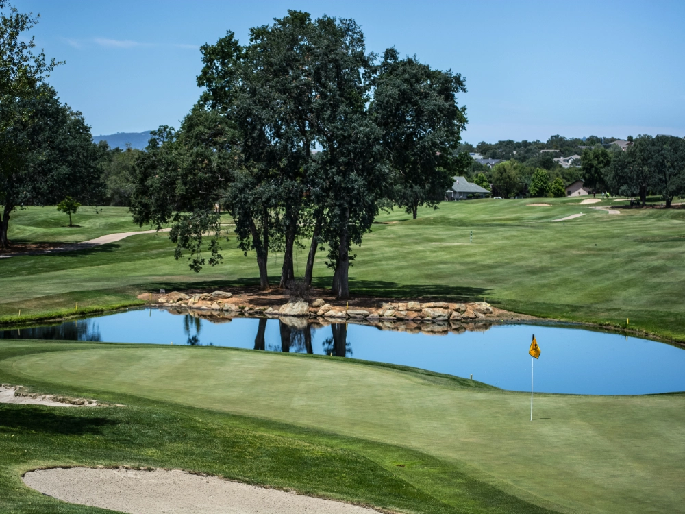 woods template internal stock 5