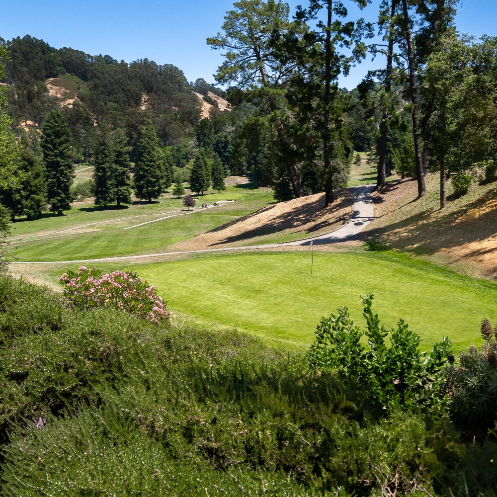 Tilden Park Collection (3 of 75) (1) (1)