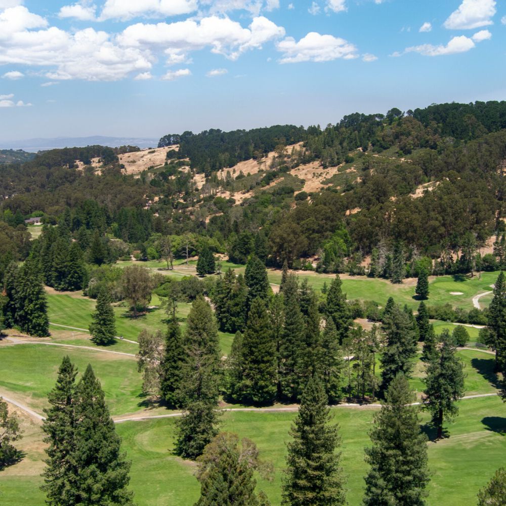 Tilden Park Collection 71 of 75 2048x1365 (1)