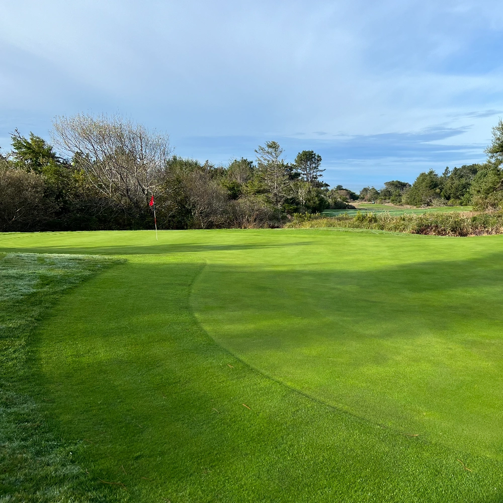 Memberships at Sea Ranch Links